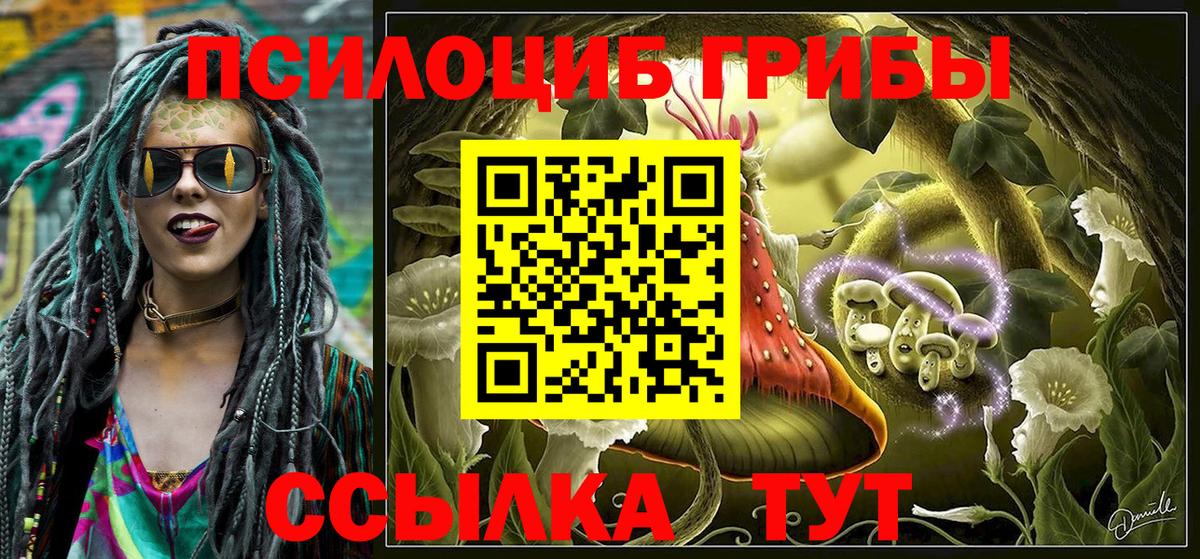 Артёмовский  Псилоцибиновые грибы мицелий  Вход с VPN 