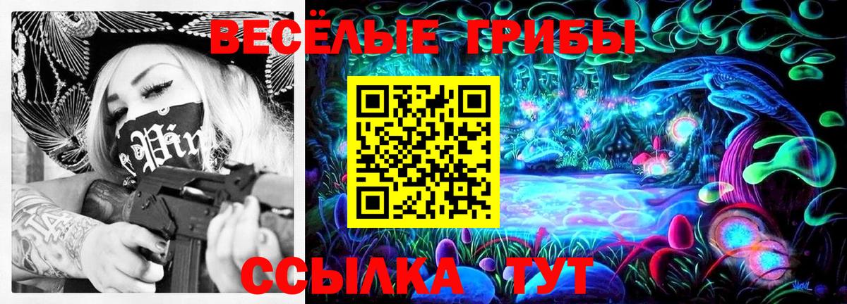 Галлюциногенные грибы ЛСД Артёмовский